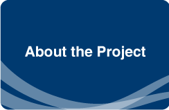 About the Project